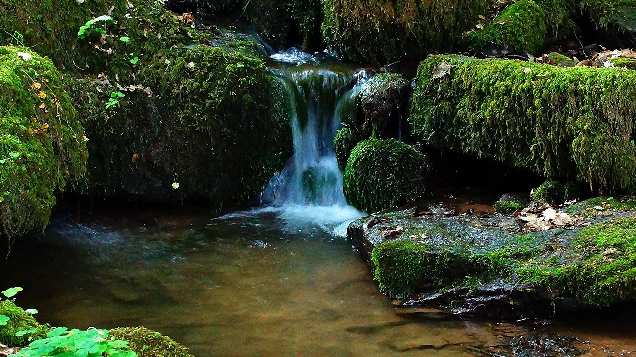 Stream - free online jigsaw puzzle photo