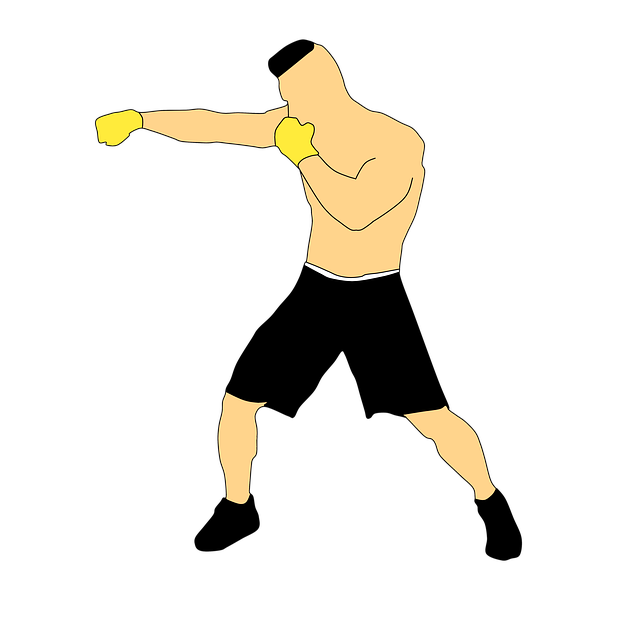 Free sport man boxing illustration