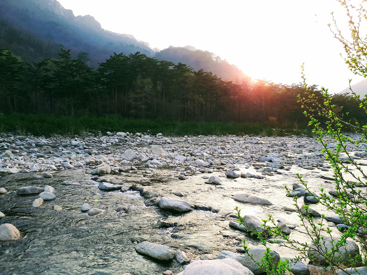 대한민국 산 강 관광 - Pixabay의 무료 사진 - Pixabay