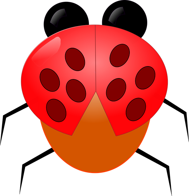 Marienkäfer, Tier, Insekten, Fehler