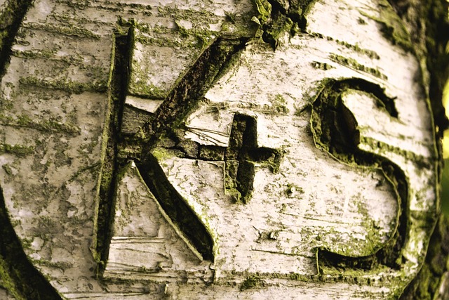 Free Love To Carve photo and picture
