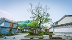 mountain village, trees, ancestral temple