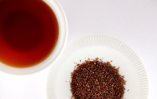 Free Rooibos Tea photo and picture