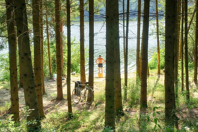 Fiskeri, Natur, Sø, Sommer, Ungarn