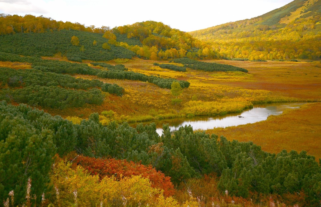 Lake - free online jigsaw puzzle photo