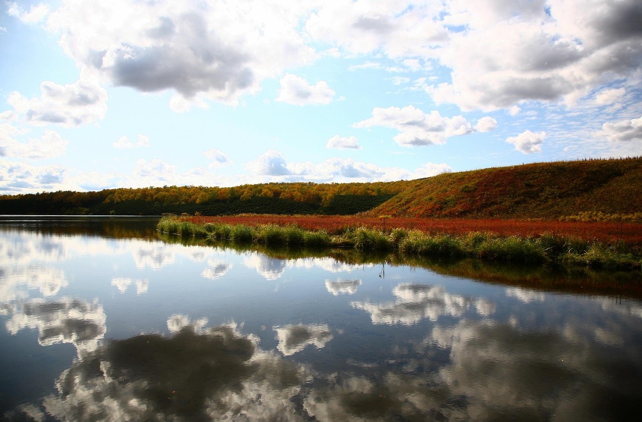 Lake - free online jigsaw puzzle photo