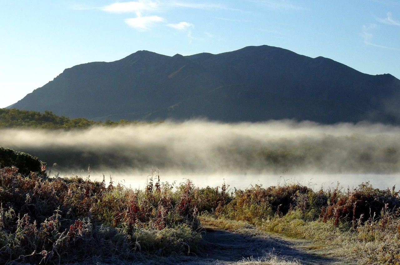 Lake - free online jigsaw puzzle photo