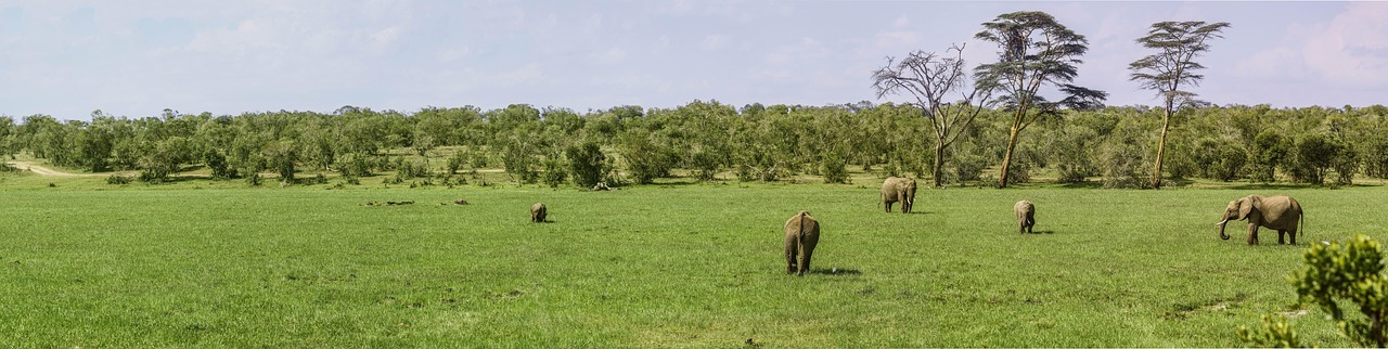 Panorama - free online jigsaw puzzle photo