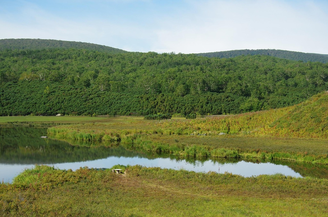 Lake - free online jigsaw puzzle photo