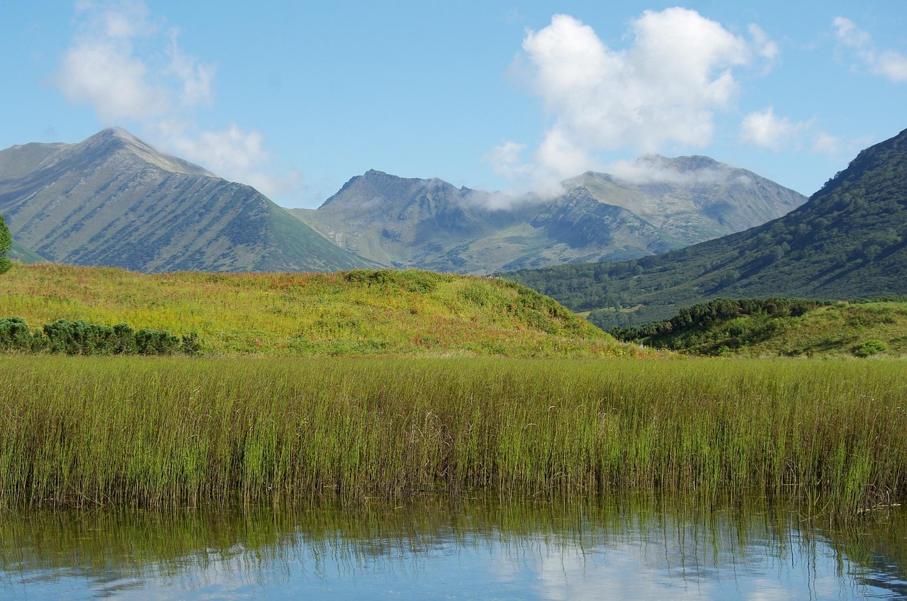 Lake - free online jigsaw puzzle photo