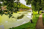 canal, river, froth