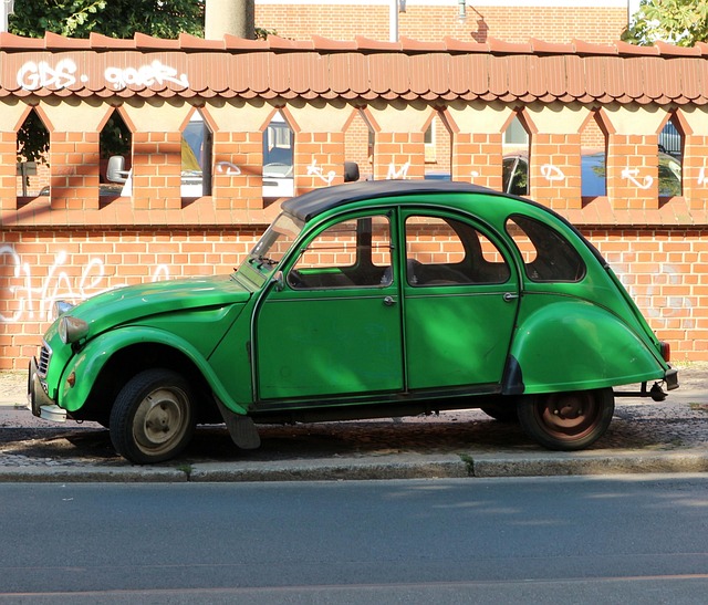 Free Duck Automobile photo and picture
