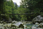 water, inject, forest