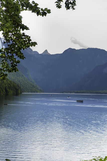 Free Viewpoint Nature photo and picture