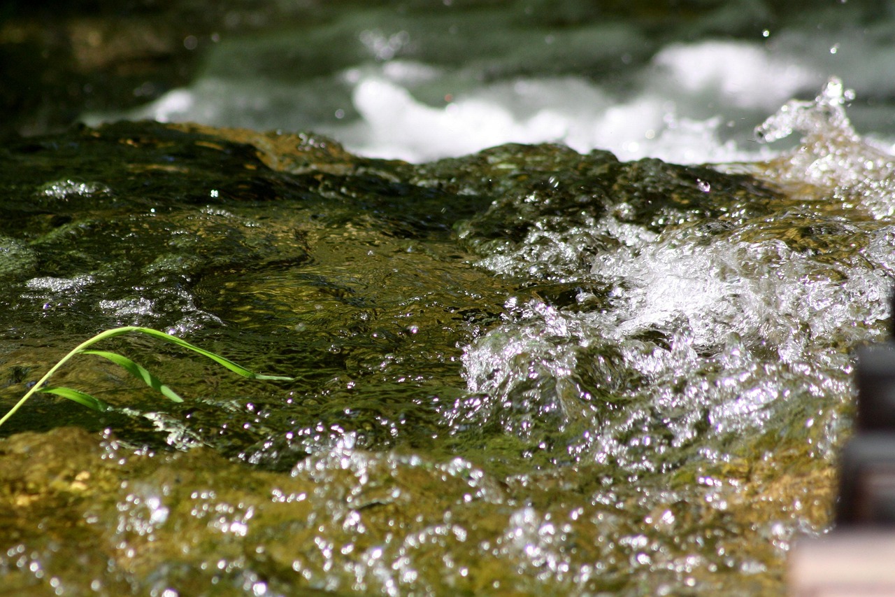 Water Nature Spring - Free photo on Pixabay - Pixabay