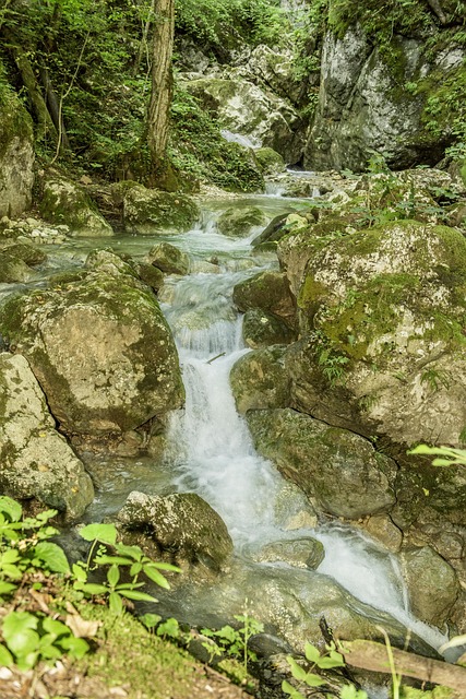 Free Waterfall Bear Protective Gorge Austria photo and picture