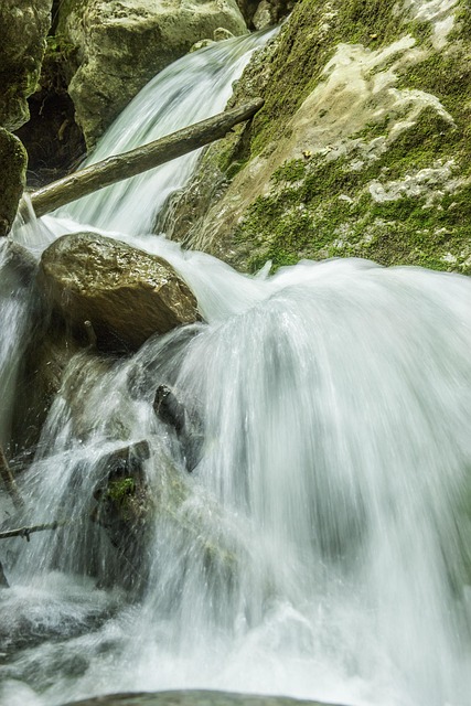 Free Waterfall Bear Protective Gorge Austria photo and picture