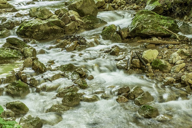 Free Waterfall Bear Protective Gorge Austria photo and picture