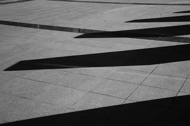Free Line Shadow photo and picture