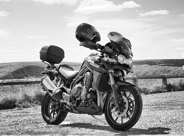 Free Motorcycle Triumph photo and picture