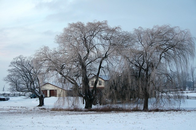 Free House Home photo and picture