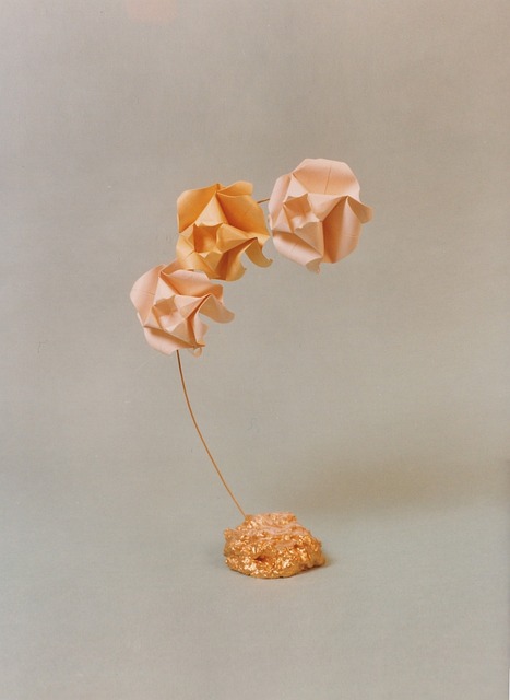 Free Branch Rose photo and picture