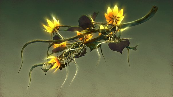 Free Flower Nature photo and picture