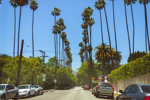 hollywood-2679491__340.jpg