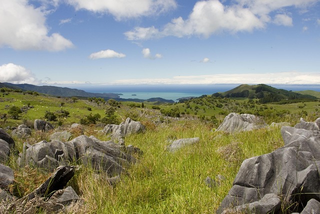 Free New Zealand The Coast photo and picture
