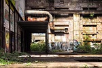 lost places, rooms, leave