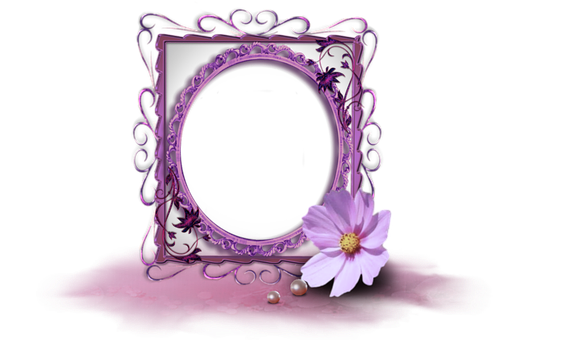 Lila, Bilderrahmen, Blume, Design
