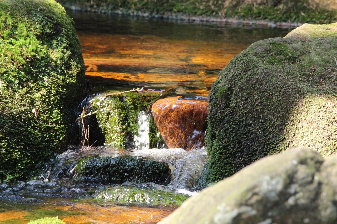 Water Stones Bach Free photo on Pixabay Pixabay
