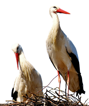 VÖGEL Samsung Galaxy A41 Flipcase main image 0
