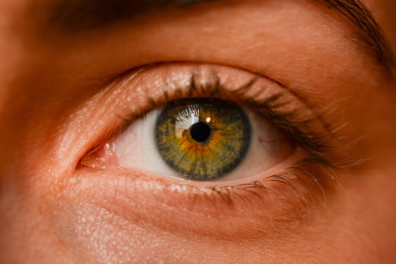 M s De 300 000 Im genes Gratis De Fondo De Ojo Y Ojo Pixabay