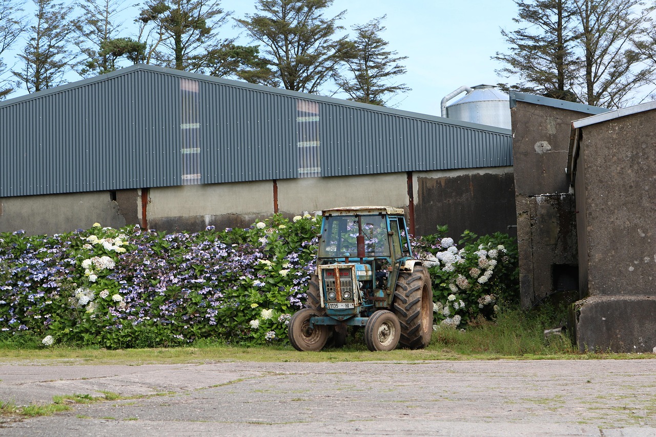 Farm Yard - free online jigsaw puzzle photo