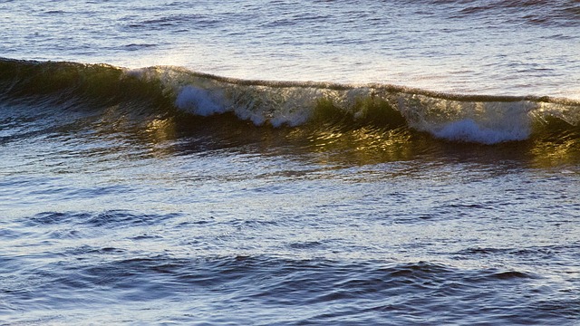 Free Wave Sea photo and picture