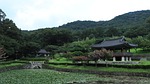 pond, water, tree