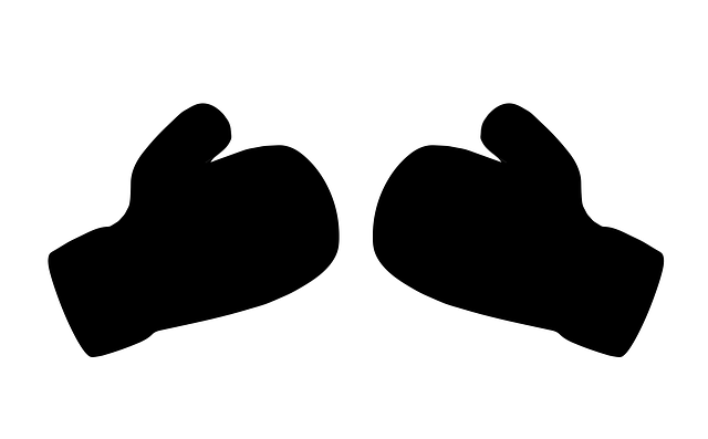 Free glove boxing boxing gloves vector