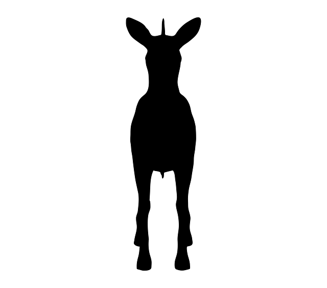Zebra, Dyr, Natur, Vild, Dyreliv, Zoo