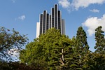 skyscraper, trees, architecture
