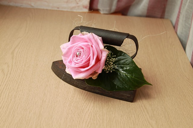 Free Iron Vintage photo and picture