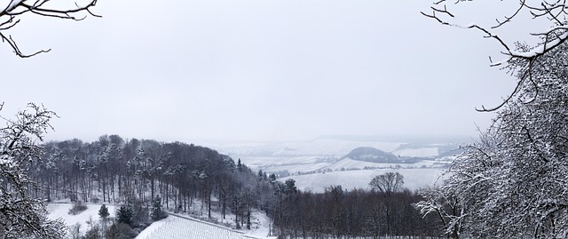 Free Winter Laptop Wallpaper photo and picture