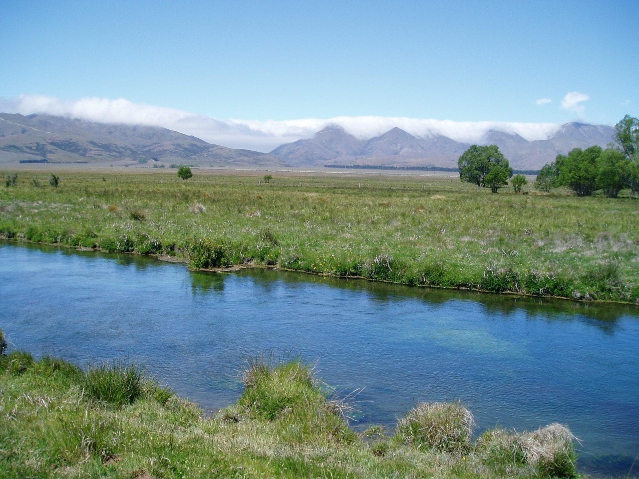 New Zealand Grays River Free photo on Pixabay Pixabay