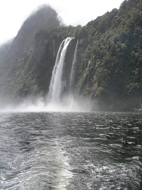 new, zealand, milford sound, new zealand, nature, mountain, scenic, gray news, gray new