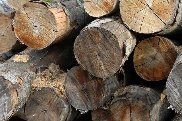 Trinken, Stamm, Holz Hacken
