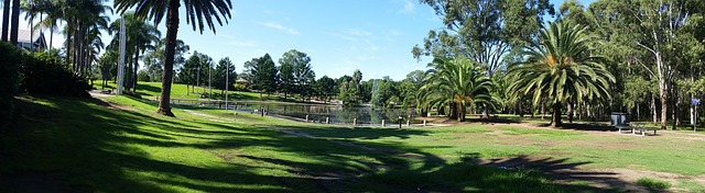Free Pond Park photo and picture