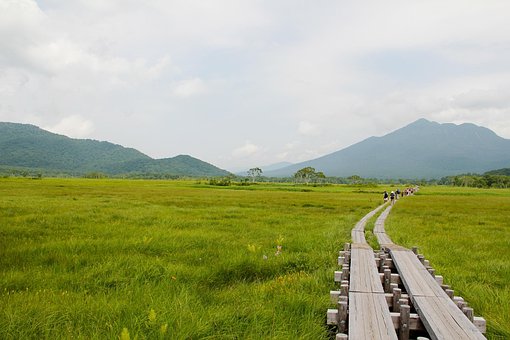 Free Oze Oze Road photo and picture