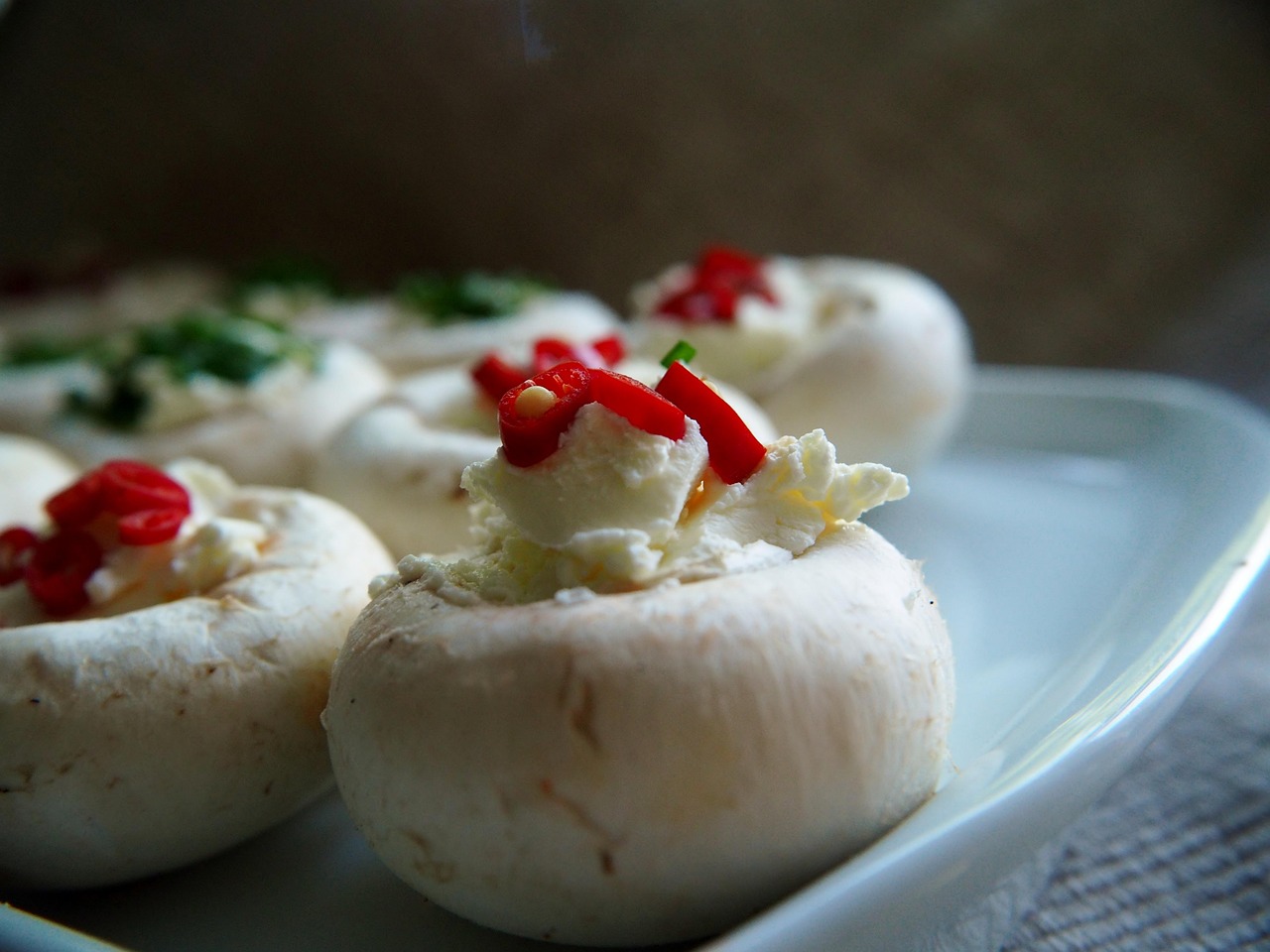 mushrooms-2685466_1280.jpg