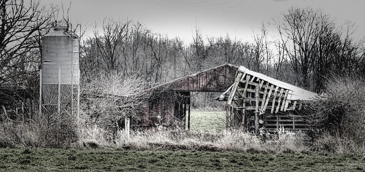 Barn - free online jigsaw puzzle photo