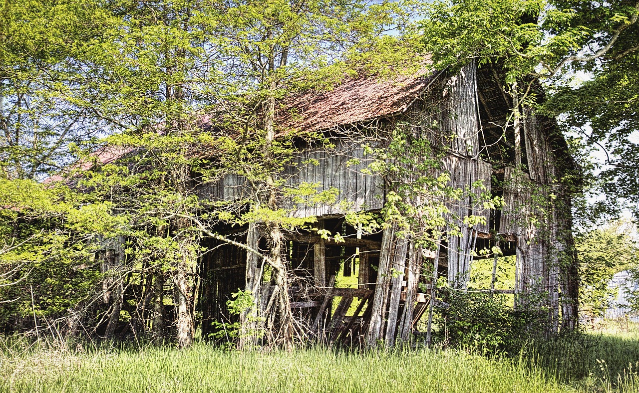 Barn - free online jigsaw puzzle photo